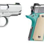 Kimber Micro