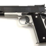 Norinco 1911A1 Sport .45